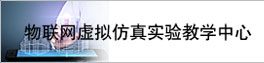 ç©èç½èæä»¿çå®éªæå­¦ä¸­å¿